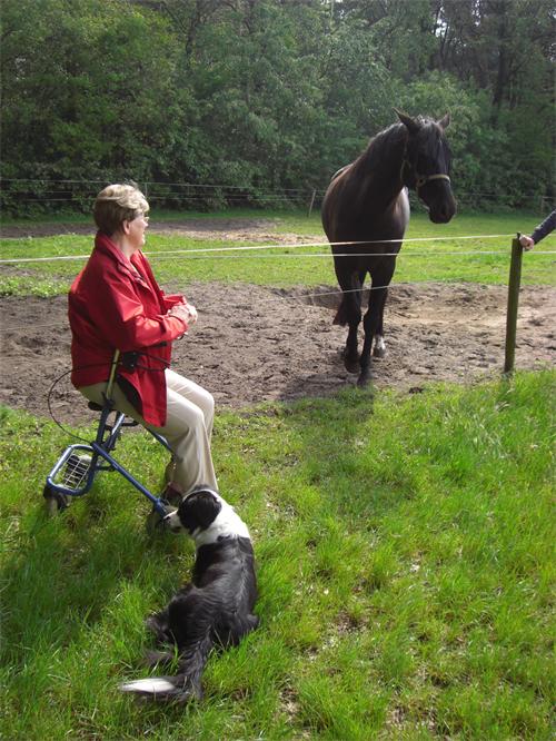 Zorgboerderij Samen & Hollandse gezelligheid