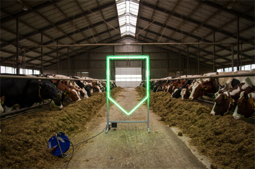 De noodzaak van glasvezel in het LVC