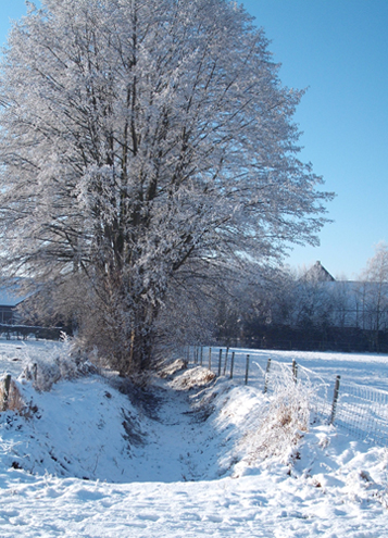 Winters Vortum-Mullem