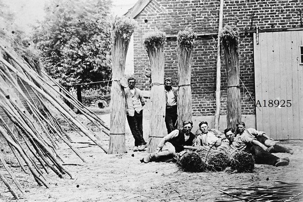 De oude schoenendoos